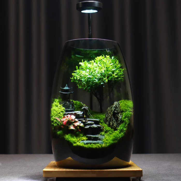 Vitroasis™ Flux de Sérénité