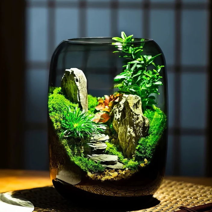 Vitroasis™ Micro-Oasis Lumineuse