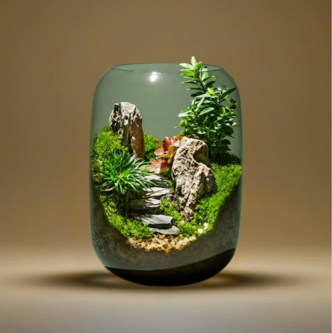 Vitroasis™ Micro-Oasis Lumineuse