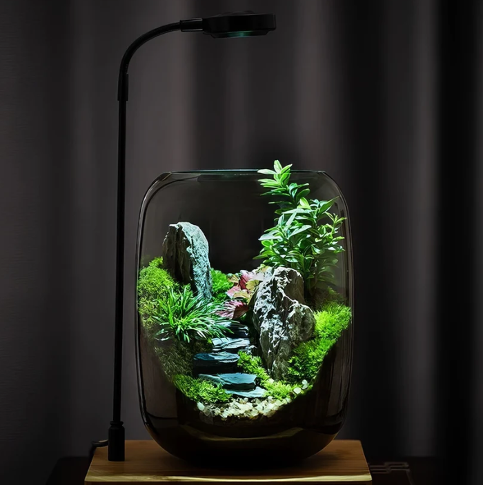 Vitroasis™ Micro-Oasis Lumineuse