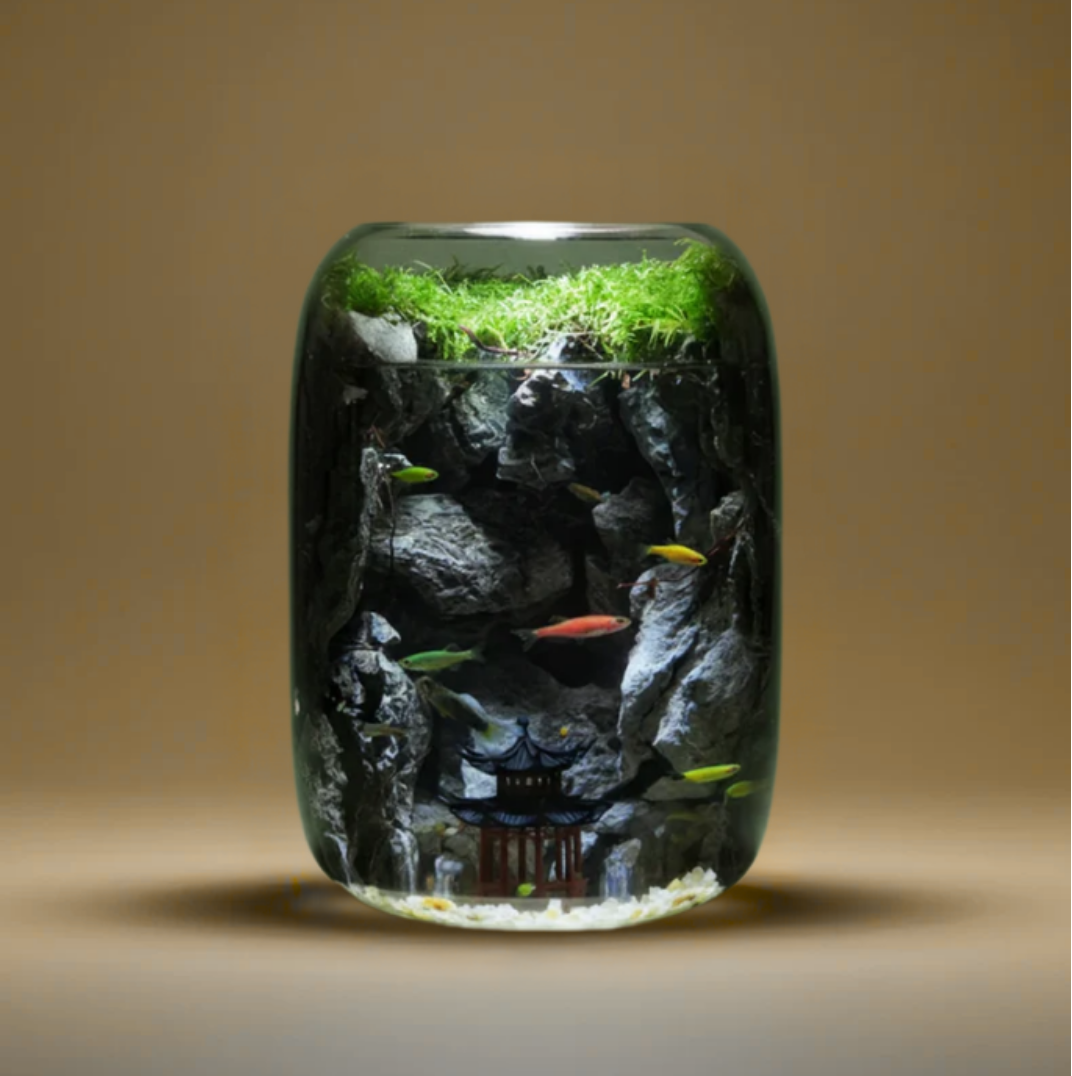 Vitroasis™ Monde Aquatique Lumineux