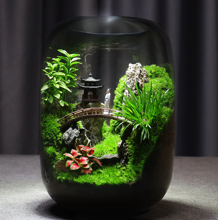 Vitroasis™ Jardin de Sérénité