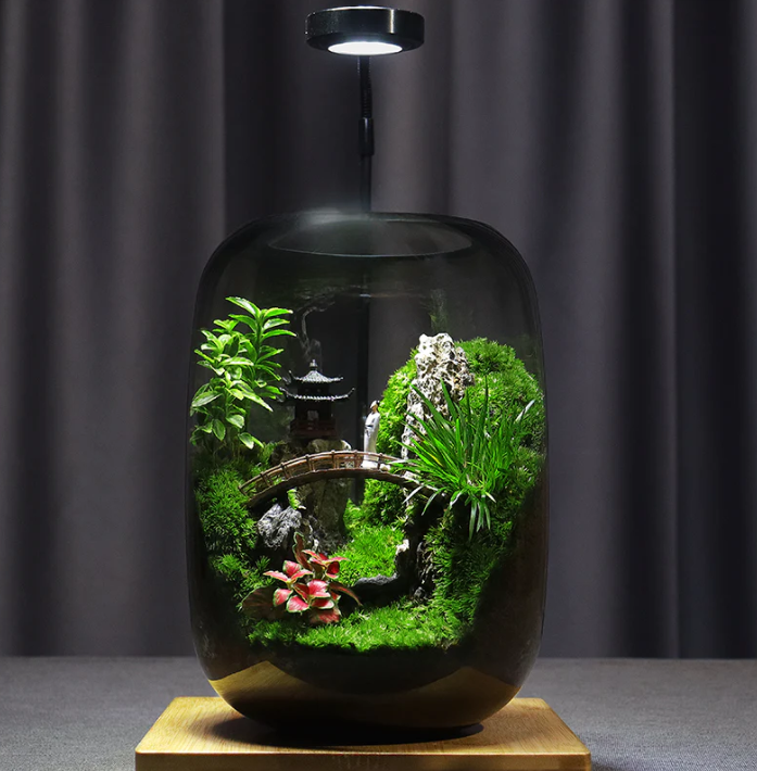 Vitroasis™ Jardin de Sérénité