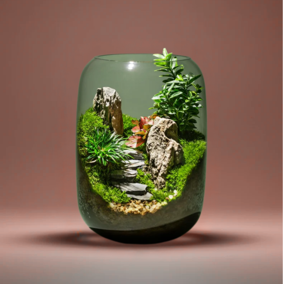 Vitroasis™ Micro-Oasis Lumineuse