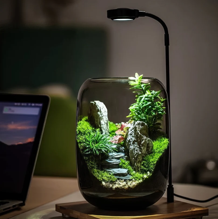 Vitroasis™ Micro-Oasis Lumineuse